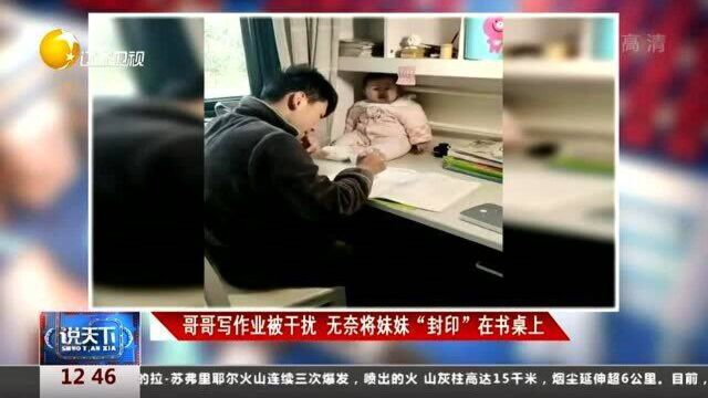 哥哥写作业被干扰,无奈将妹妹“封印”在书桌上