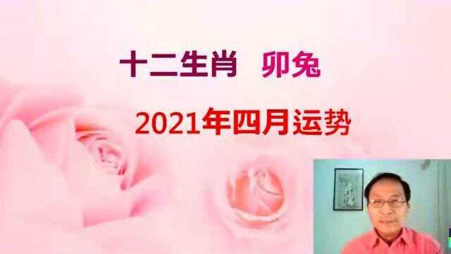 十二生肖卯兔,2021年运势解析