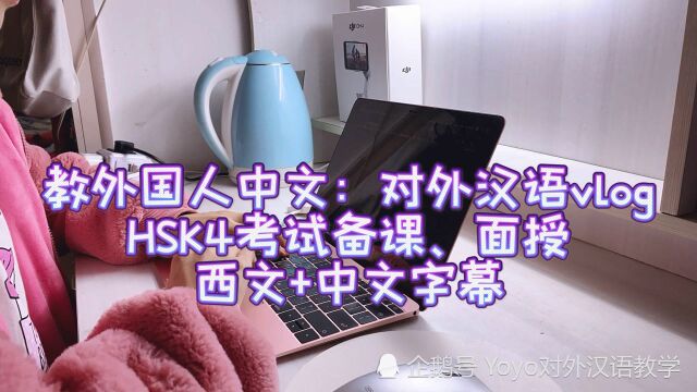 教学:对外汉语vlog外国人的中文考试HSK备课面授:中文+西文