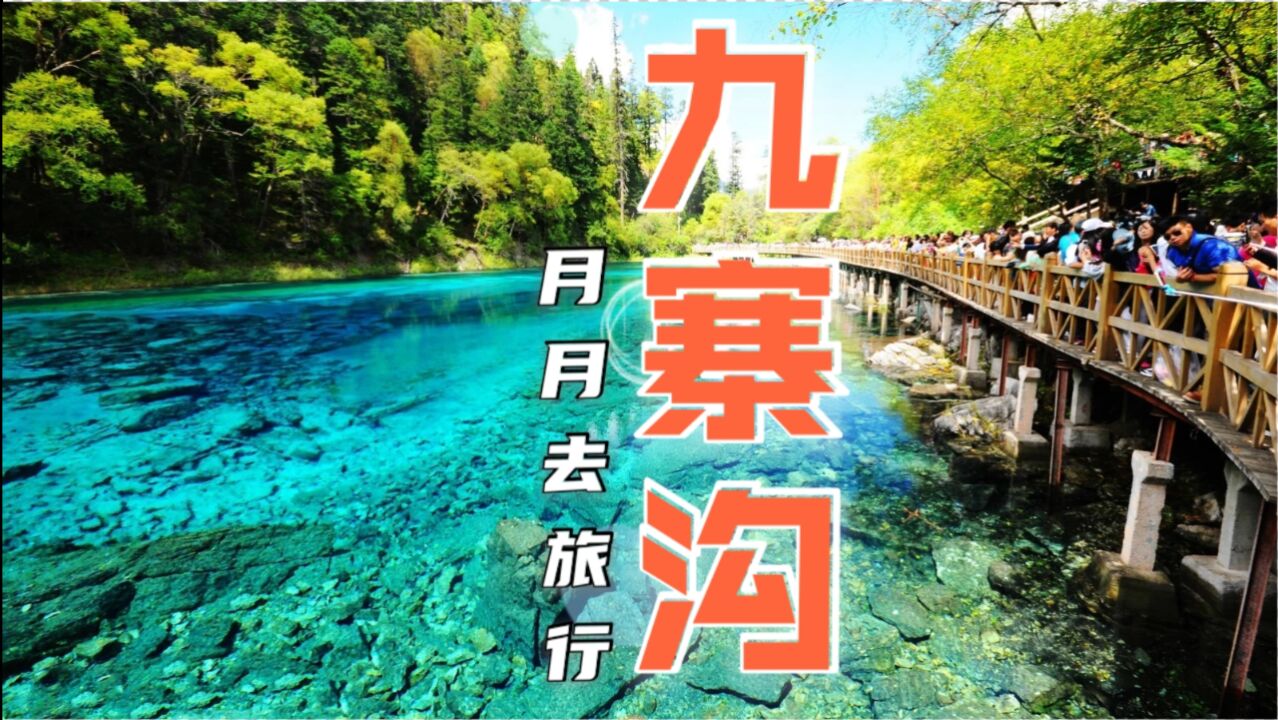 去了九寨沟再也不想看其它山水了吗?阿坝州的绝世美景