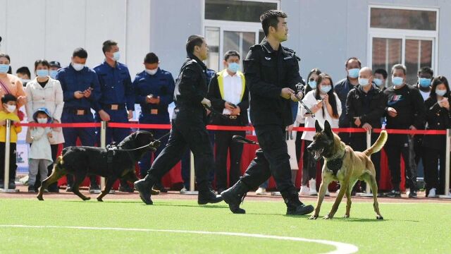 海淀区政法系统举行“开放日”活动