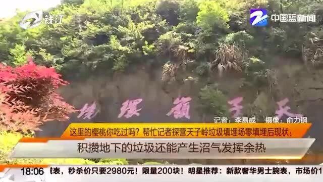 这里的樱桃你吃过吗?帮忙记者探营天子岭垃圾填埋场零填埋后现状