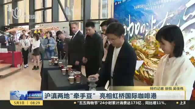 沪滇两地“牵手豆” 亮相虹桥国际咖啡港