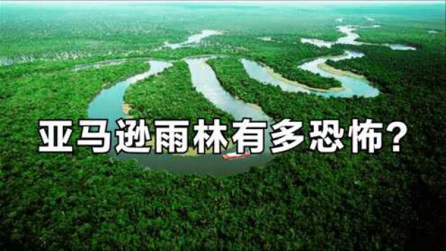 亚马逊雨林深处有多恐怖?现代科技如此发达,为何无人敢进入考察