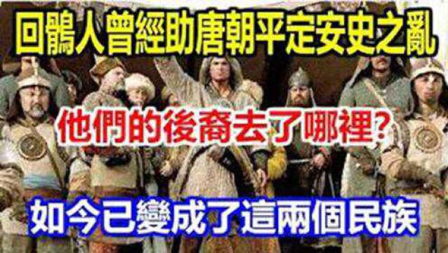 回鹘人曾经助唐朝平定安史之乱,他们的后裔去了哪里?如今已变成了这两个民族