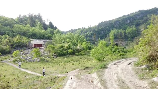 80后两兄弟隐居深山,花100多万打造梦想庄园,打开门真壮观