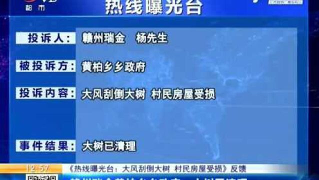 【《热线曝光台:大风刮倒大树 村民房屋受损》反馈】赣州瑞金黄柏乡乡政府:大树已清理