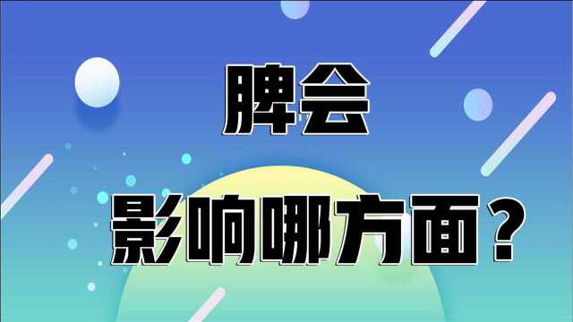 身体好坏,脾说了算!脾的4大主要功能,你都了解吗