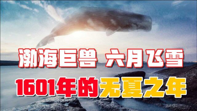 渤海巨兽,六月飞雪,1601年无夏之年的奇观的背后,有何科学原因?