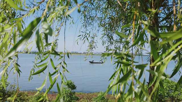 初夏后官湖 微风拂面煦阳正好