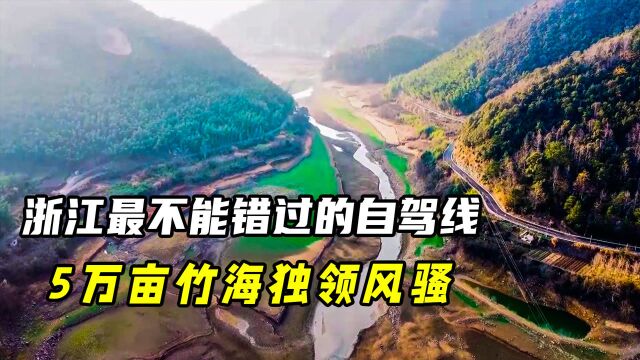 浙江最不能错过的自驾线,5万亩竹海独领风骚,丹山赤水不输川藏