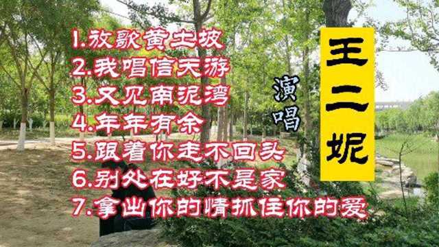 王二妮经典歌曲《放歌黄土坡》《我唱信天游》《又见南泥湾》…