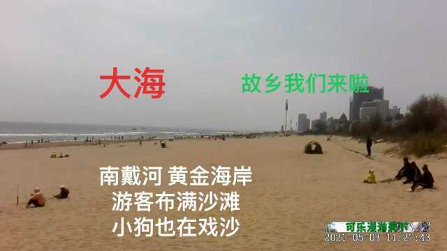 南戴河黄金海岸沙滩为啥这么吸引游客,来体验一次就知道啦