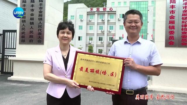 金厢镇被评为全市“最美丽镇”