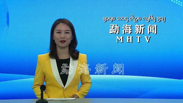 勐海县委宣传部开展“学史力行 我为群众办实事”主题党日活动