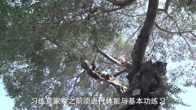 官宣!莫家拳成为惠州第三项国家级非遗