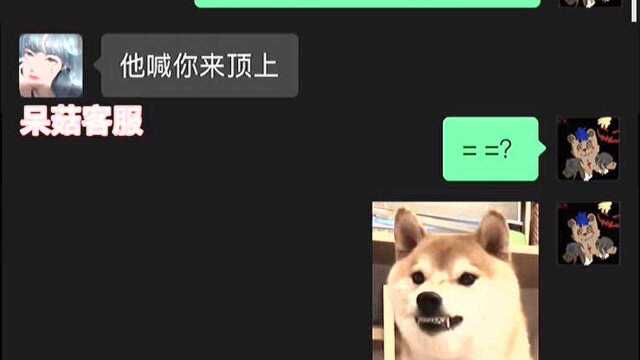 争宠这一块拿捏了