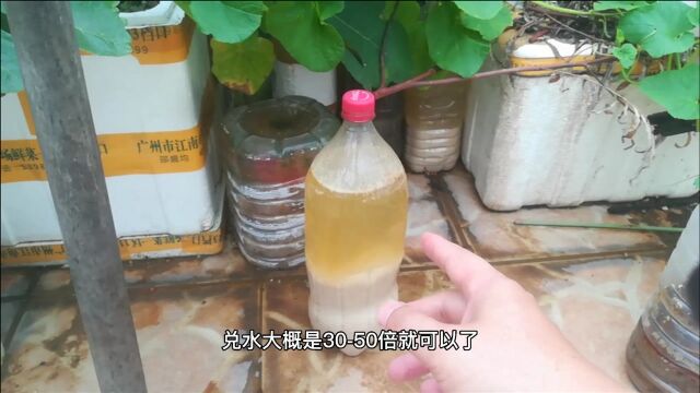 果树无氮不长叶?快速补充氮肥,教大家3招