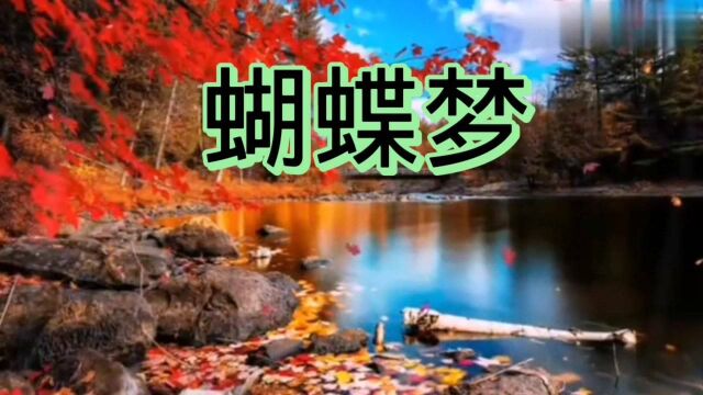 闽南语歌曲《蝴蝶梦》