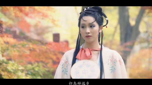 古风《思美人》,太漂亮了