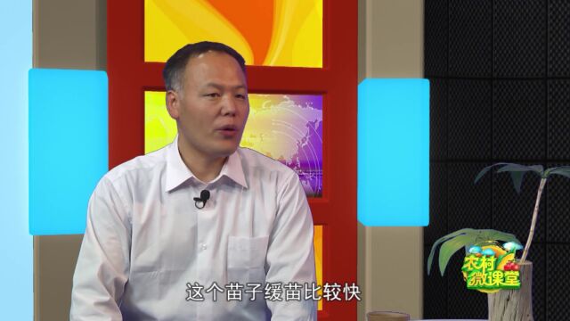 甜樱桃栽培技术9