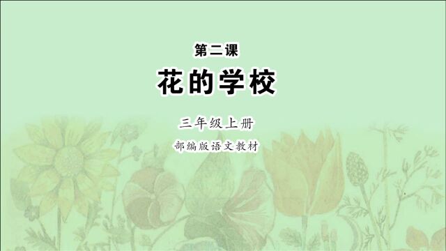 《花的学校》小学语文三年级下册 课文朗读