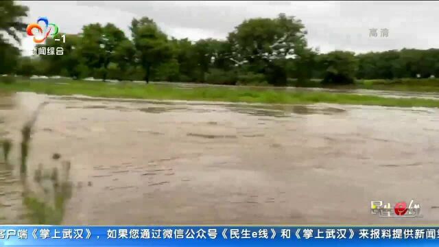 14名武汉游客被困红安河道 消防救援脱险