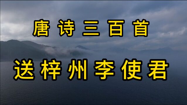 唐诗三百首《送梓州李使君》朗读赏析