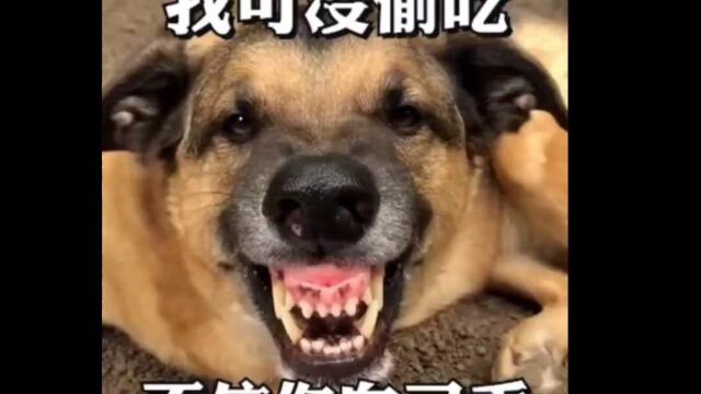 那我走!!