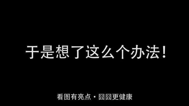 工作很忙又要陪猫玩,于是想了这么个办法!