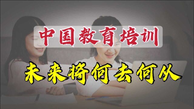 校外培训三巨头为何暴跌7300亿?中国的教育培训未来将何去何从?