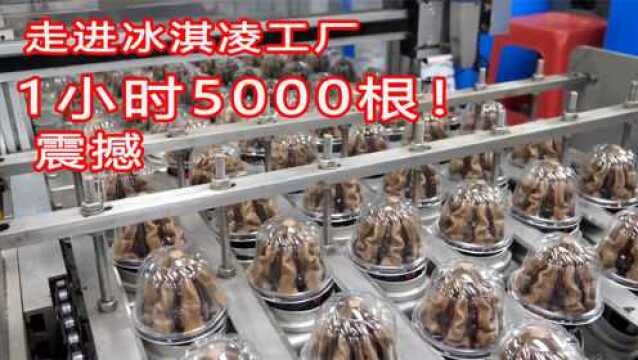 韩国冰淇凌工厂,1小时生产5000根,制作过程太神奇了