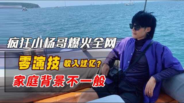 “沙雕兄弟”小杨哥爆红全网,零演技收入过亿?真实家庭背景不一般