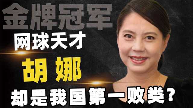 网球队员胡娜,比赛前寻求美国庇护,38年后回国捞金网友评论可耻