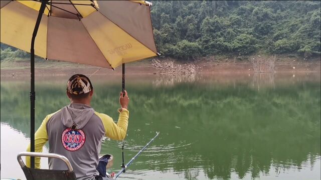 下雨之前水平如镜,钓底无口的老陈加快频率抽浮,翘嘴连杆爽歪歪