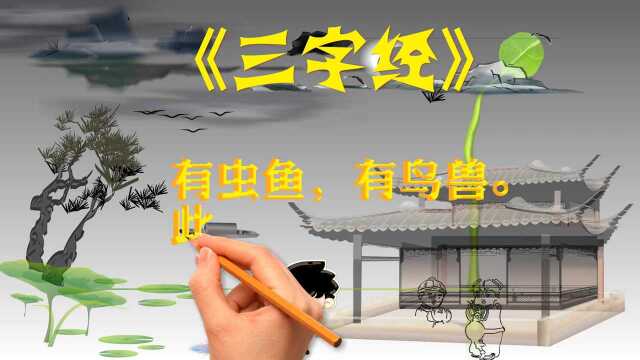 中国传统蒙学《三字经》28.有虫鱼,有鸟兽.此动物,能飞走.