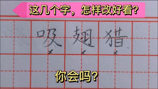 汉字结构分析教程,丑字如何改?来看看老师的讲解