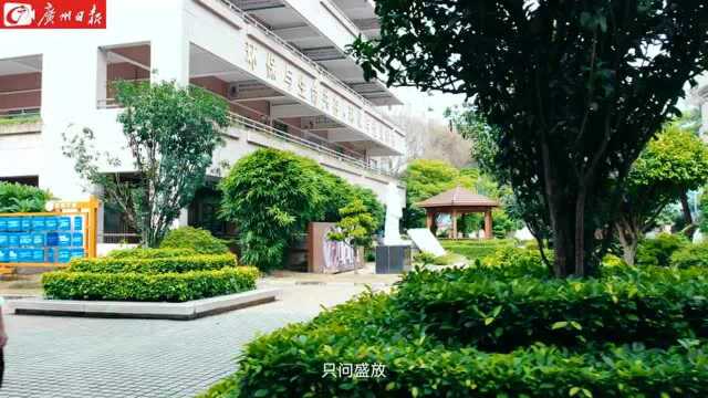 庆祝教师节,东莞长安发布《我们的信仰》教师节MV