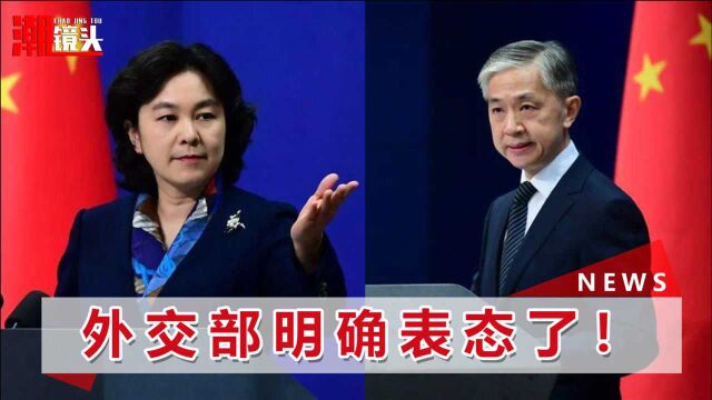 中国政法大学教授:中国可招工阿富汗难民,我外交部明确给出答案