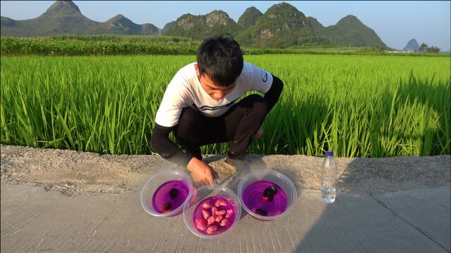 福寿螺有寄生虫?放进高锰酸钾泡一小时,结果泡出上100条寄生虫