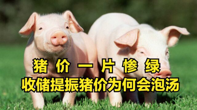 9月10日猪市行情:猪价一片“惨绿”,为何收储提振猪价会泡汤