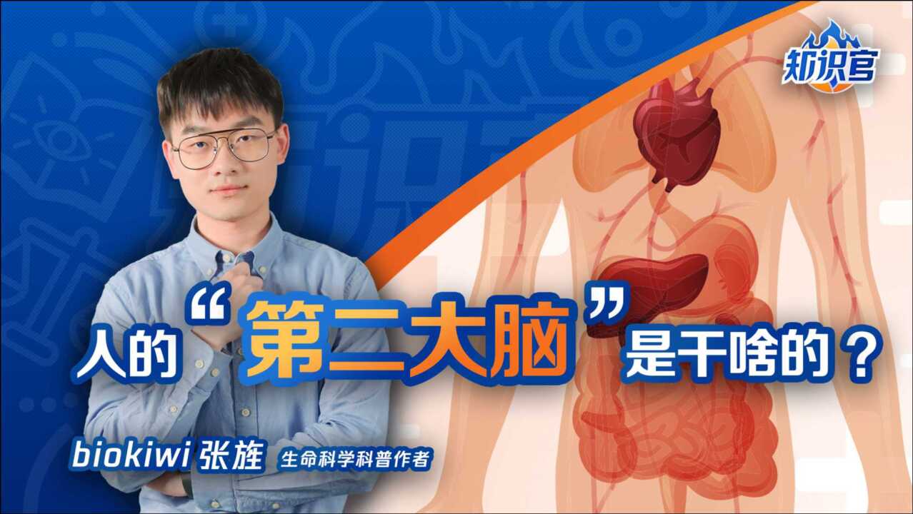 “遇事不决,肠道菌群”!人体内的有益菌和有害菌都有哪些?