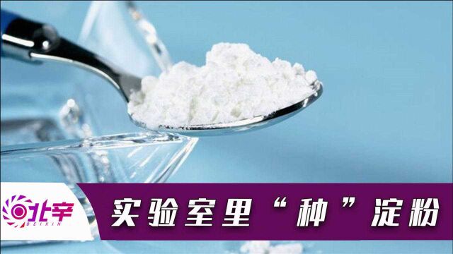 又一个首次!我国科学家在实验室里人工合成淀粉,想象变成了现实