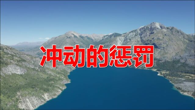 《冲动的惩罚》经典老歌,就是不一样