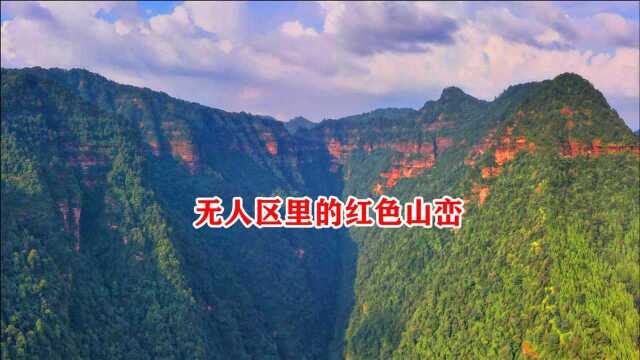 无人区原始森林里的红色山峦,航拍贵州遵义赤水市无人区红色山峦