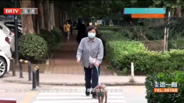 文明养犬我先行 记者观察:小区里遛狗 您牵绳了吗?