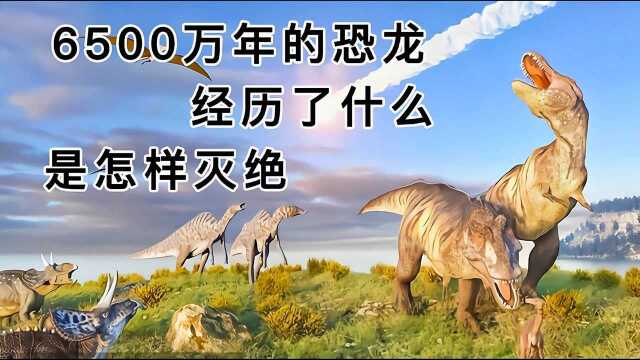 6500万年的恐龙经历了什么是怎样灭绝