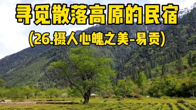 寻觅散落高原的民宿(26.易贡)