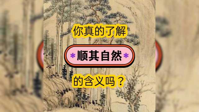 很多人会说:“顺其自然吧”!但你真正的了解顺其自然的含义吗?#看点AIG #文案