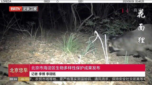 北京市海定区生物多样性保护成果发布